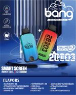 Bang 20000口 Disposable Vape｜雙網霧化高口數電子煙