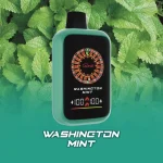 AONE VAPE CasinoX 16000口